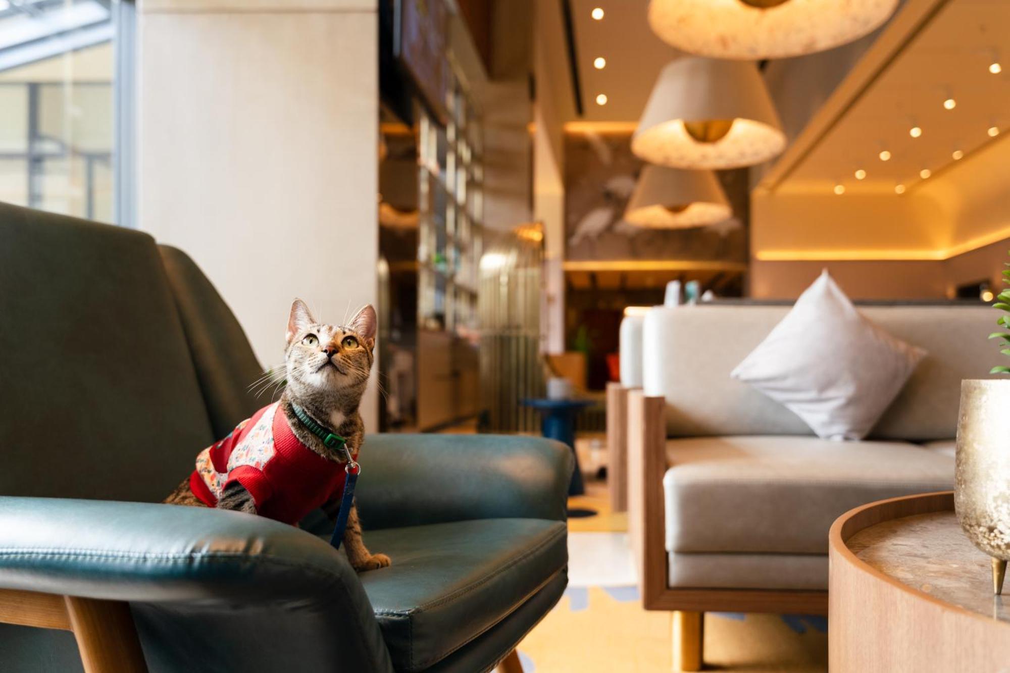 Ibis Styles Mysuru Hotel Exterior photo